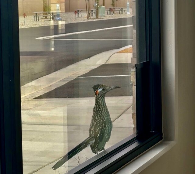 Image 15 for Standard Back-in