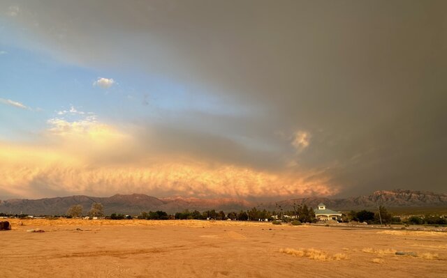 Image 19 for Standard Back-in