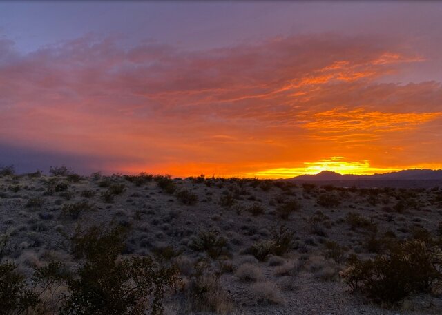 Image 23 for Standard Back-in