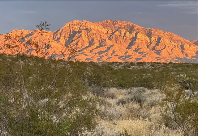 Image 20 for Standard Back-in