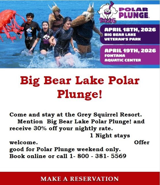 Image 1 for Polar Plunge