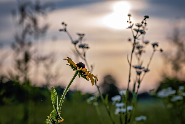 Image 10 for Beatrice at The Last Resort