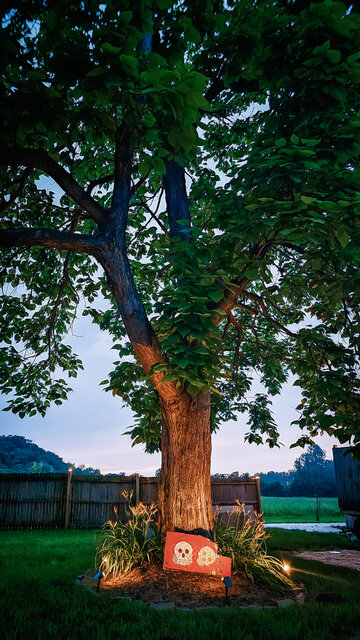 Image 16 for Beatrice at The Last Resort