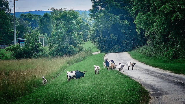 Image 12 for Beatrice at The Last Resort