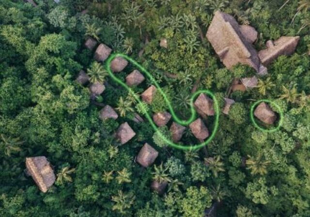 Image 5 for Coffee Tree House