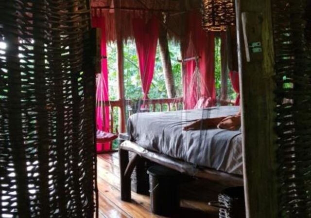Image 2 for Coffee Tree House
