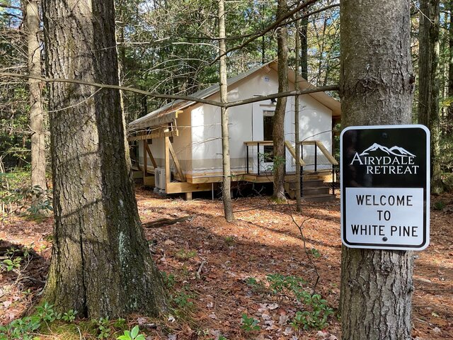 Image 22 for White Pine