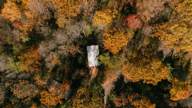 Image 10 for White Pine