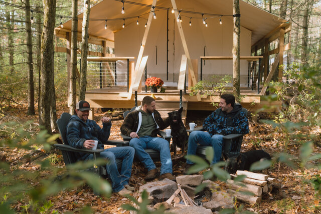 Image 15 for White Pine