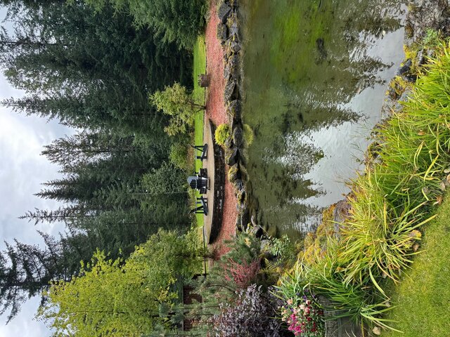 Image 14 for Wolf’s Den Cabin