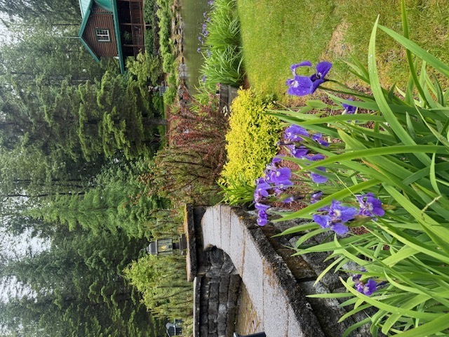 Image 10 for Bear's Den Cabin