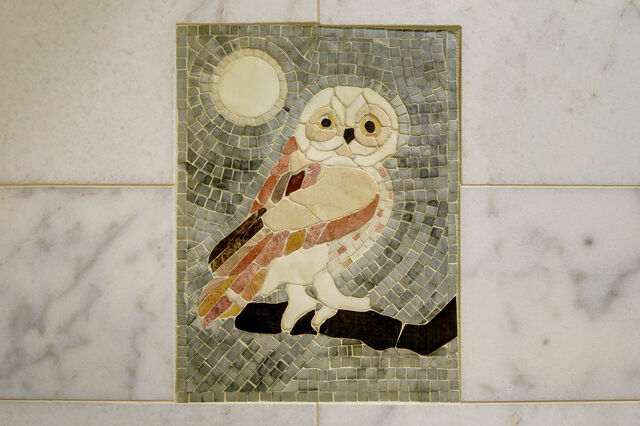 Image 4 for Owl's Roost