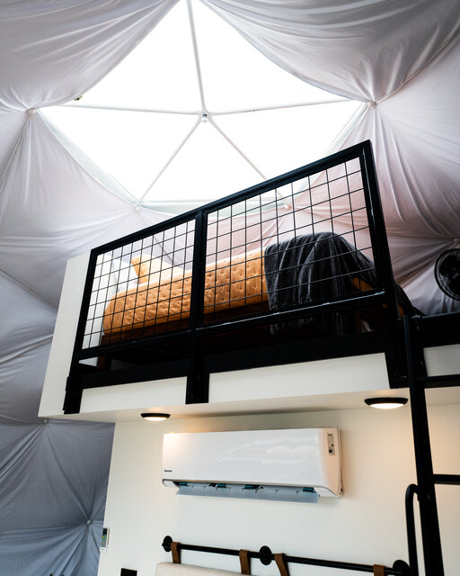 Image 9 for Deluxe Dome
