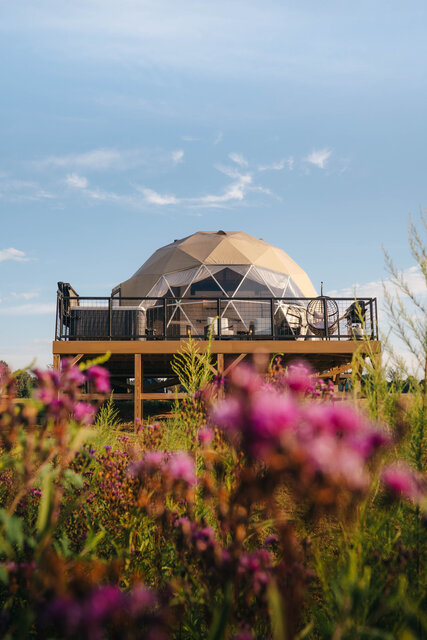 Image 1 for Deluxe Dome