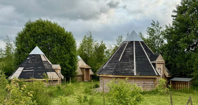 Image 2 for Driftwood