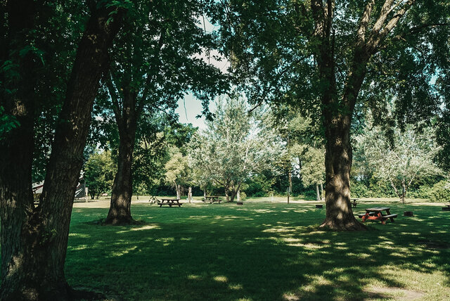 Image 1 for Primitive Tent Sites