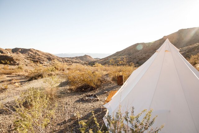 Image 4 for Star Gazer