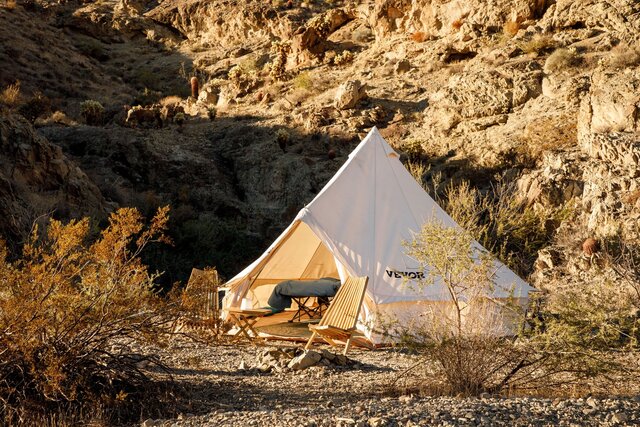 Image 1 for Star Gazer