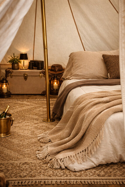 Image 4 for Star Gazer