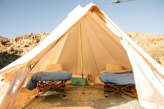 Image 3 for Star Gazer