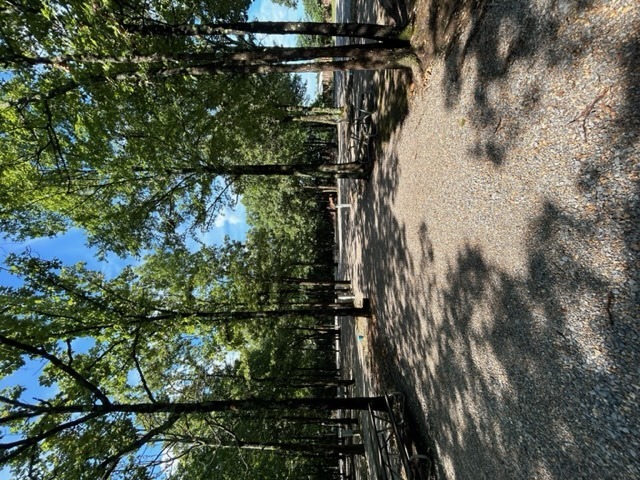 Image 8 for RV Site 12