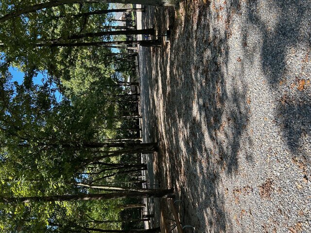 Image 4 for RV Site 12