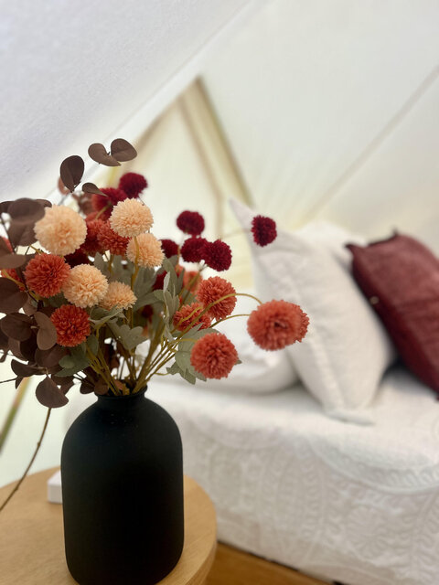 Image 9 for Mt. Magazine