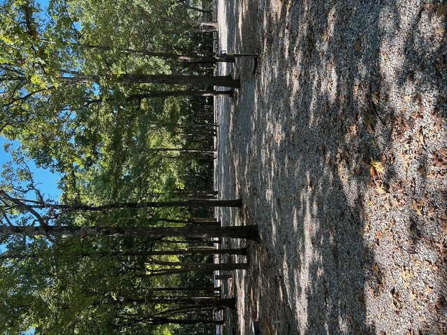 Image 6 for RV Site 12