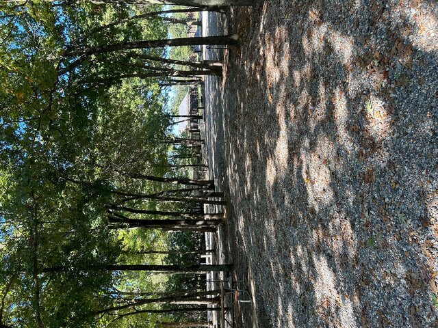 Image 5 for RV Site 12