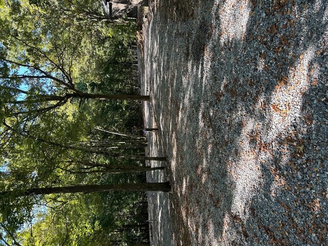 Image 2 for RV Site 21