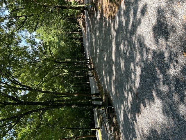 Image 4 for RV Site 22