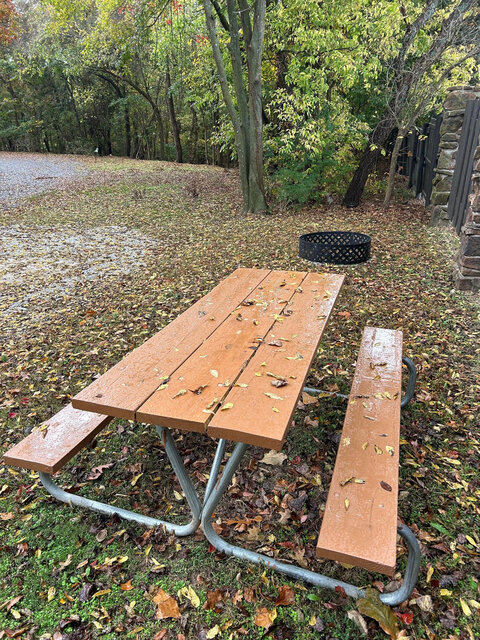 Image 4 for RV Site 02