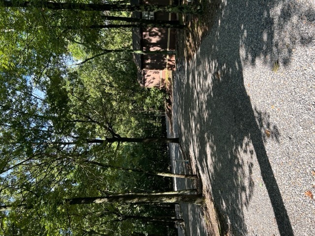 Image 3 for RV Site 21