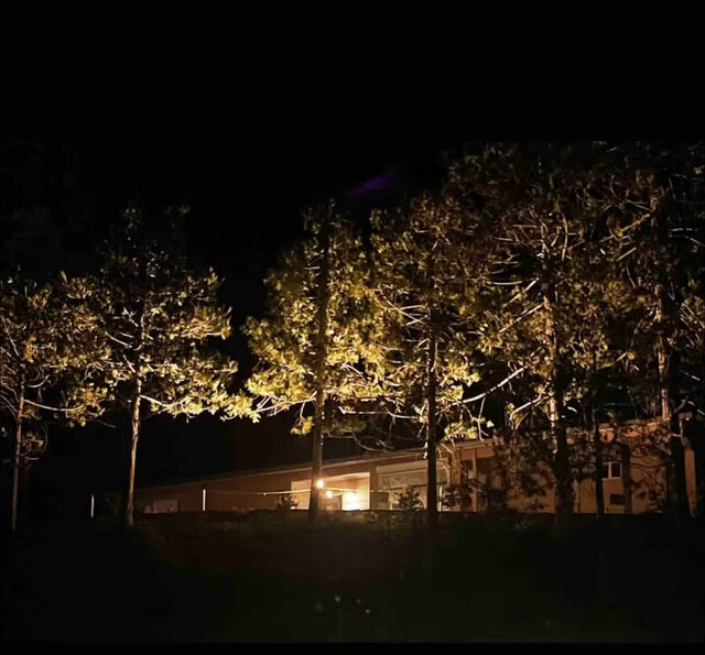 Image 25 for Good Vibes Getaway Lake Views, Private Boat Slip