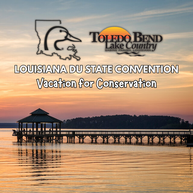 Image 1 for Ducks Unlimited