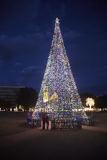 Image 1 for Christmas Tree Festival & Festival of Lights