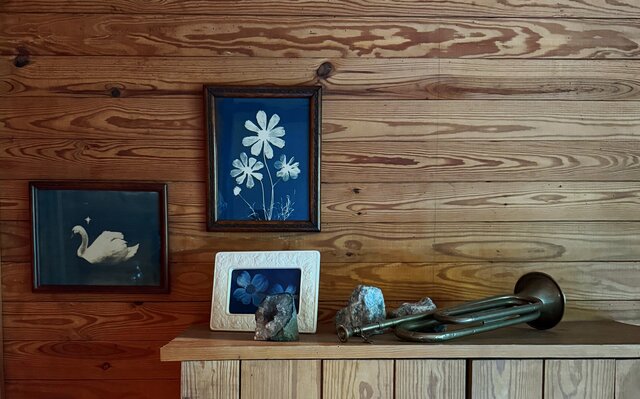 Image 3 for Dogwood