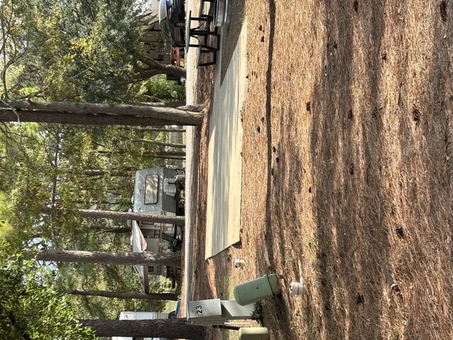 Image 2 for Shady Pull-Thru on site #23