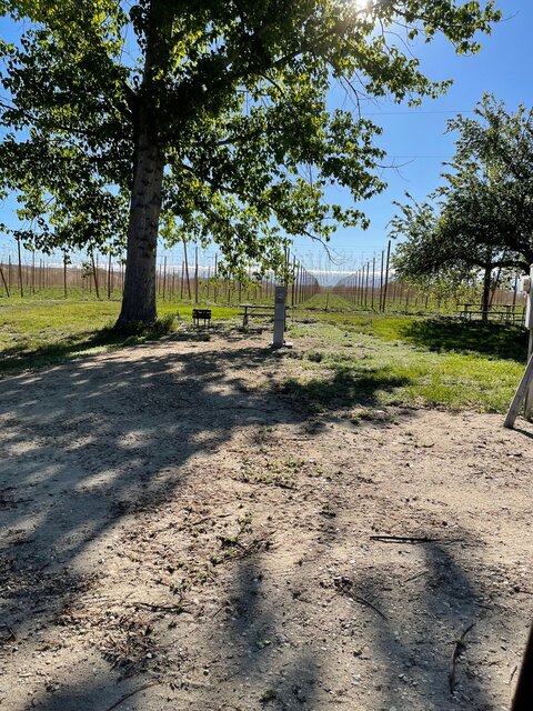 Image 2 for Site #10