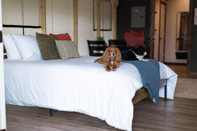 Image 6 for Glampsite #02 (Tent)