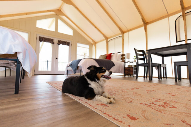 Image 4 for Glampsite #02 (Tent)