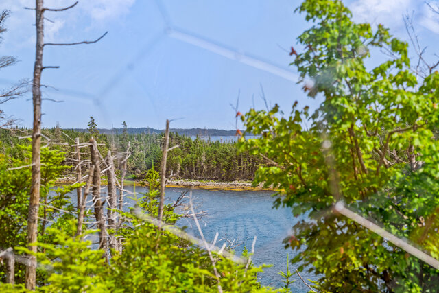 Image 7 for #D2 Geo-Dome