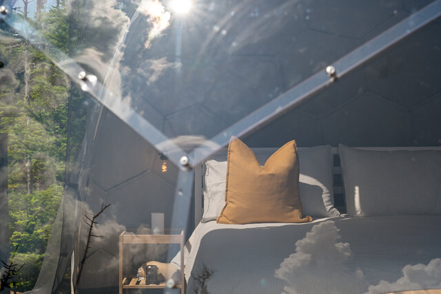 Image 3 for #D2 Geo-Dome