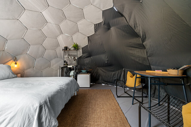 Image 2 for #D2 Geo-Dome