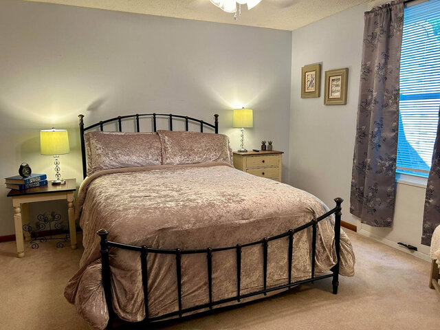 Image 3 for 2433) The Dancing Fox