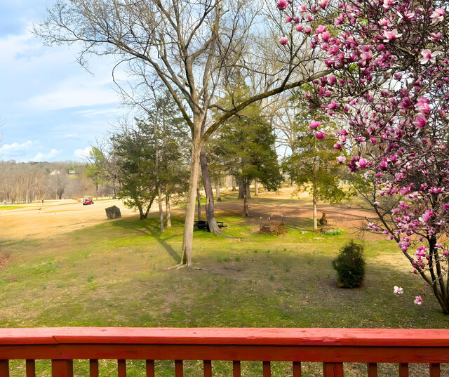 Image 14 for 6021) The 21 Club