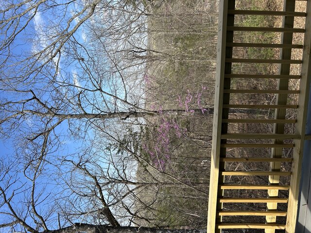 Image 20 for 6019) A-Frame of Mind