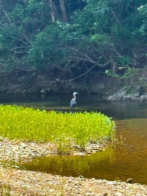 Image 25 for 6050) South Fork River Kottage
