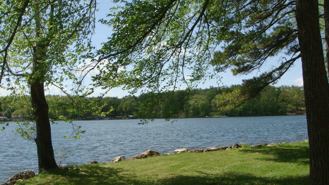 Image 11 for 6123) "Green Gables"