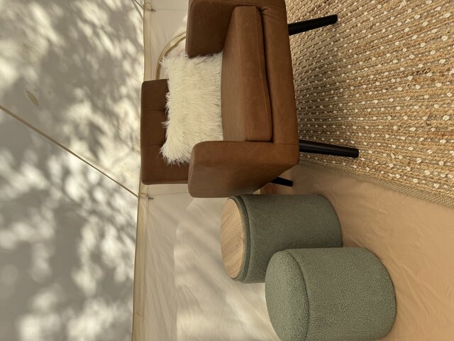 Image 6 for Secret Sycamore